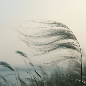 城市是片不夜的海