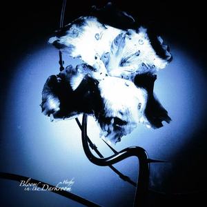 重生之我在秋招