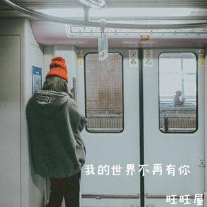 我的世界不再有你