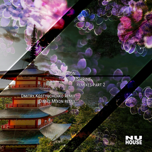 Shrine (Dmitry Kostyuchenko Remix)