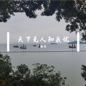 天下无人知我忧