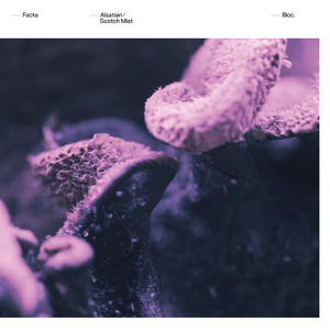 Alsatian (Beneath Remix)