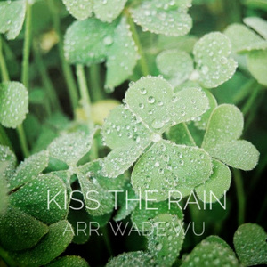 Kiss The Rain(雨的印记)(吉他版)