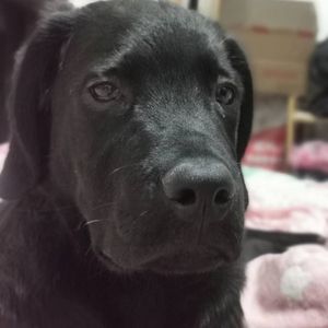 纯爱战神(PROD BY MEGA)