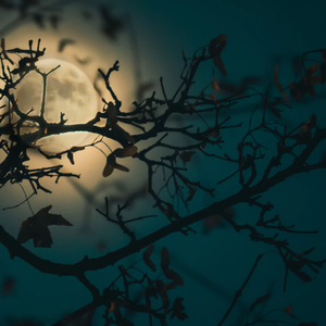 Silent（prod by CARSO & 牙刷）