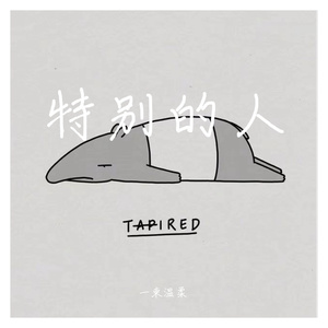 特别的人