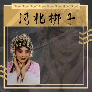 河北梆子《窦娥冤》“听婆母一番话我心好悔”