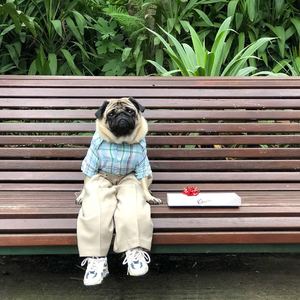 喜贴街（Cover 谢安琪）