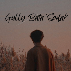 Gully Bata Sadak