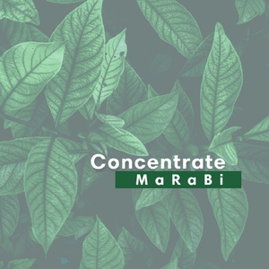 Concentrate (Radio Mix)