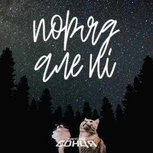 Поряд Але Ні