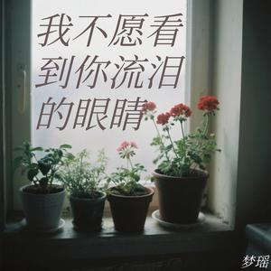 我不愿看到你流泪的眼睛