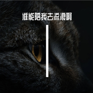 谁能陪我去流浪啊