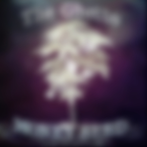 Money Seed (Seedless Tahoe Instrumental Version)