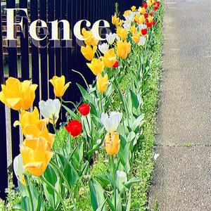 Fence