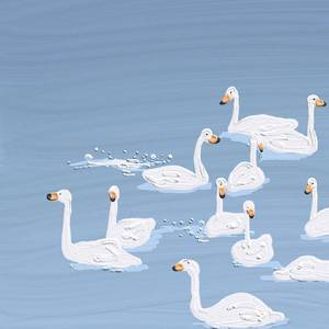 月亮不会奔你而来