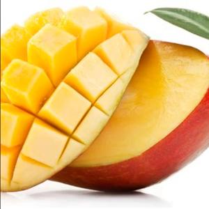 Zij was land – dat niemand ooit vond