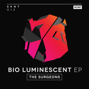 Scowl (Original Mix)