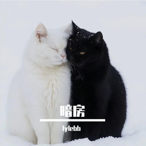 어두운 방 시계暗房的鐘
