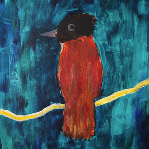 Бюджетные места