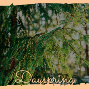 Dayspring