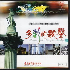 莫斯科郊外的晚上