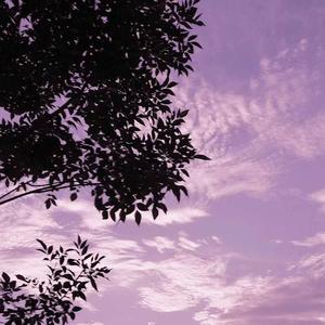 LOVE6（翻自YOUNG / 果妹 ）