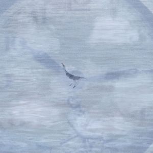 时间与水还有你