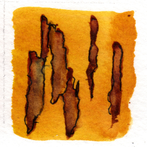 Raincan (Watercolor Editions)