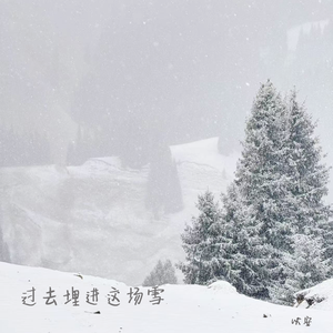 过去埋进这场雪