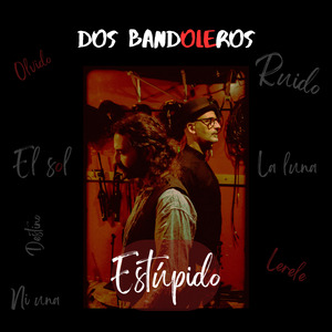 Estúpido
