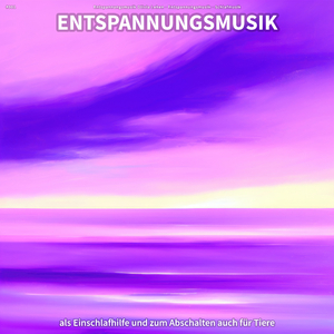 Klangvolle Musik mit Liebe