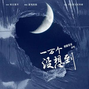 一万个没想到 (闽南风)