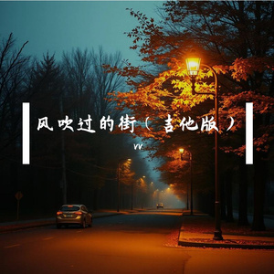 风吹过的街 (吉他版本)