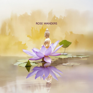 Discover Hidden Light