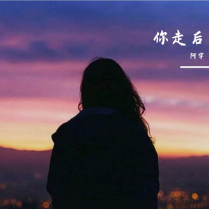 你走后