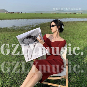 你是我这辈子得不到的女人