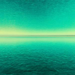 病中辱崔宣城长句见寄兼有觥绮之赠因以四韵总而酬之