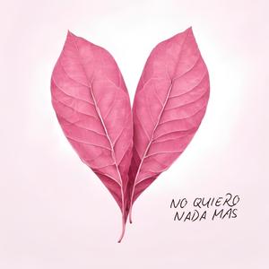 No Quiero Nada Más