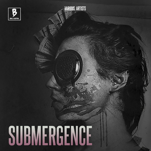 Flying In The Sky (Original Mix)