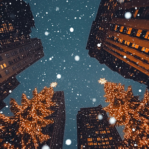 雪が舞う夜に