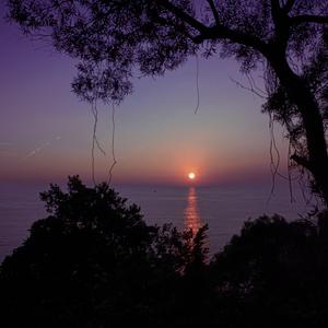 过程2.0（prod.YoungHarry）