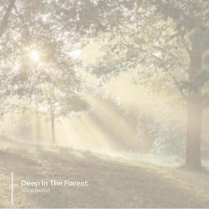 Deep In The Forest