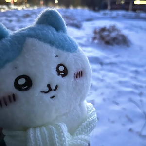 IF YOU【Chiikawa版】