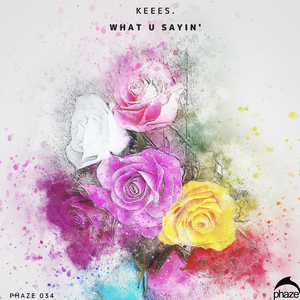 What U Sayin' (Original Mix)