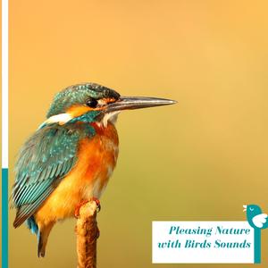 Falling Rain Aftermath