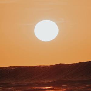 火红的萨日朗（抖音纯享版）