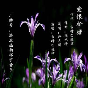 爱恨折磨对唱