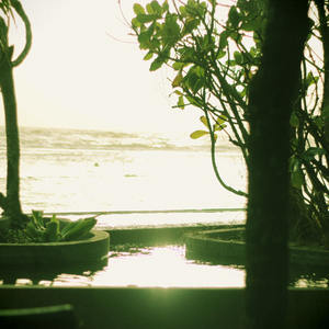 木陰のハンモック