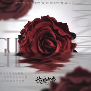 玫瑰少年